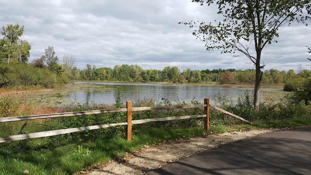 Timber Trace Golf Club | restaurant | 1 Champions Circle, Pinckney, MI 48169, USA | 7348781800 OR +1 734-878-1800