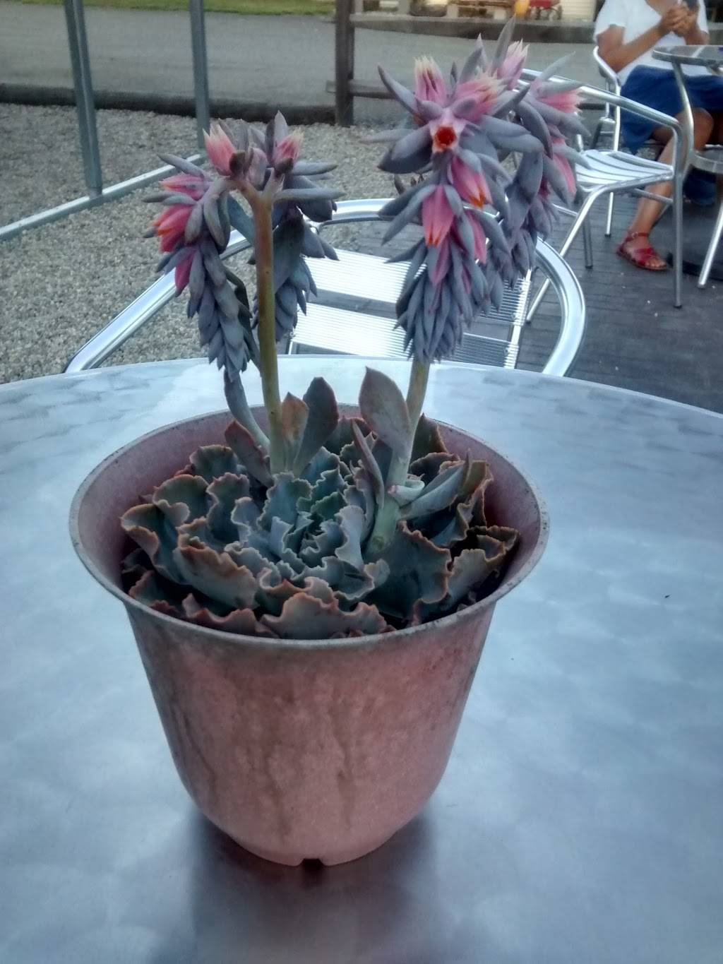 Local Burgy | restaurant | 93 Main St, Haydenville, MA 01039, USA | 4132688300 OR +1 413-268-8300