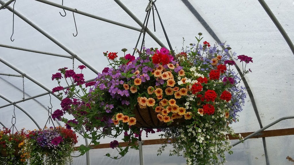 JAndy Acres | restaurant | 6760 S Prairie Rd, Tillamook, OR 97141, USA | 5038421197 OR +1 503-842-1197