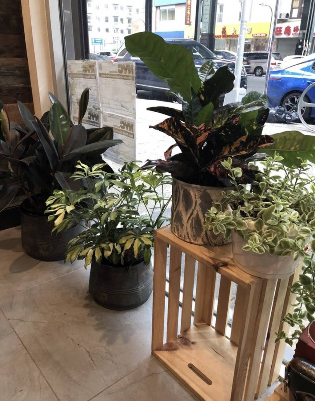 PokéBowl Station + Snow & Cream | cafe | 2037 86th St, Brooklyn, NY 11214, USA | 7187955828 OR +1 718-795-5828