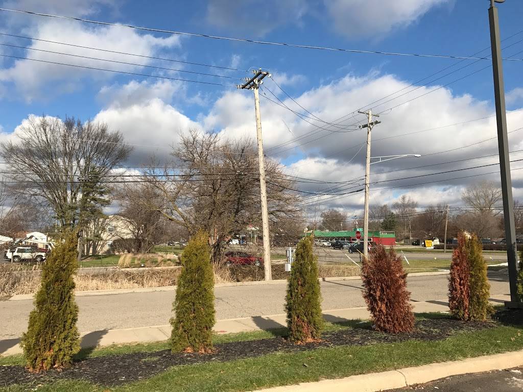 Subway Restaurants | restaurant | 22341 Pontiac Trail, South Lyon, MI 48178, USA | 2484379393 OR +1 248-437-9393