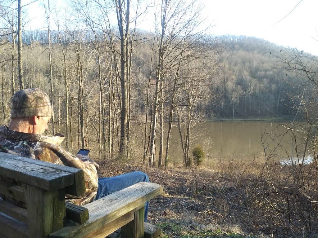 Honeys Pawn Run Saloon | restaurant | 485 Boy Scout Rd, Oakland, MD 21550, USA | 3013876655 OR +1 301-387-6655