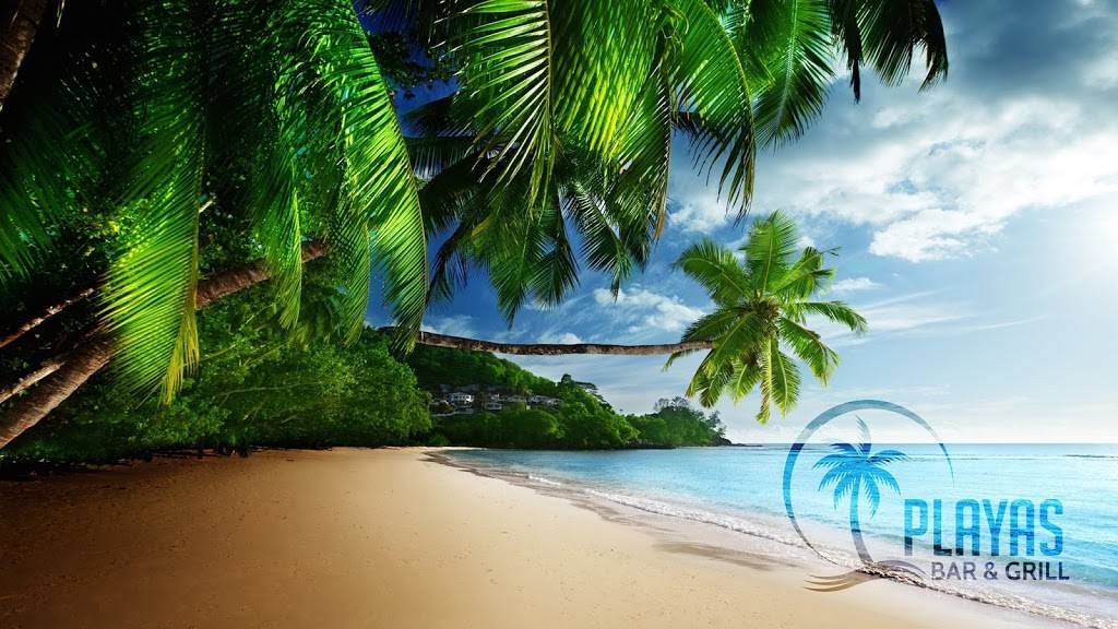 Playas Bar and Grill | restaurant | 533 W Lake St, Addison, IL 60101, USA | 6302964570 OR +1 630-296-4570