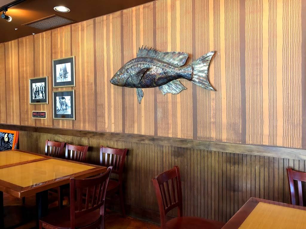 Jimmys Fish House & Iguana Bar | restaurant | 521 S Gulfview Blvd, Clearwater Beach, FL 33767, USA | 7274469720 OR +1 727-446-9720