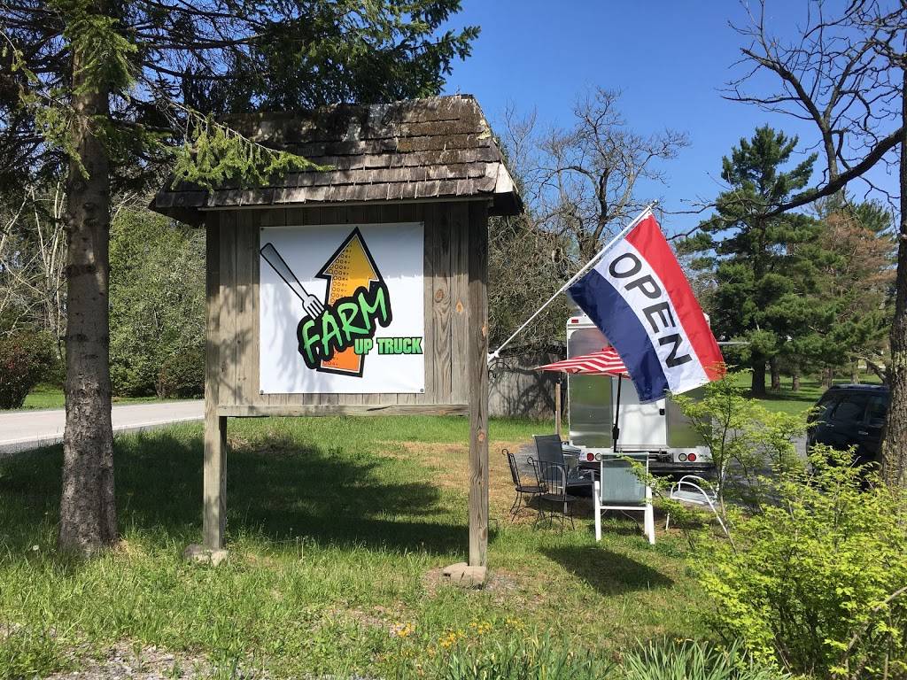 Farm Up Food Truck | restaurant | 33 Backbone Ridge, Eglon, WV 26716, USA | 3046983148 OR +1 304-698-3148