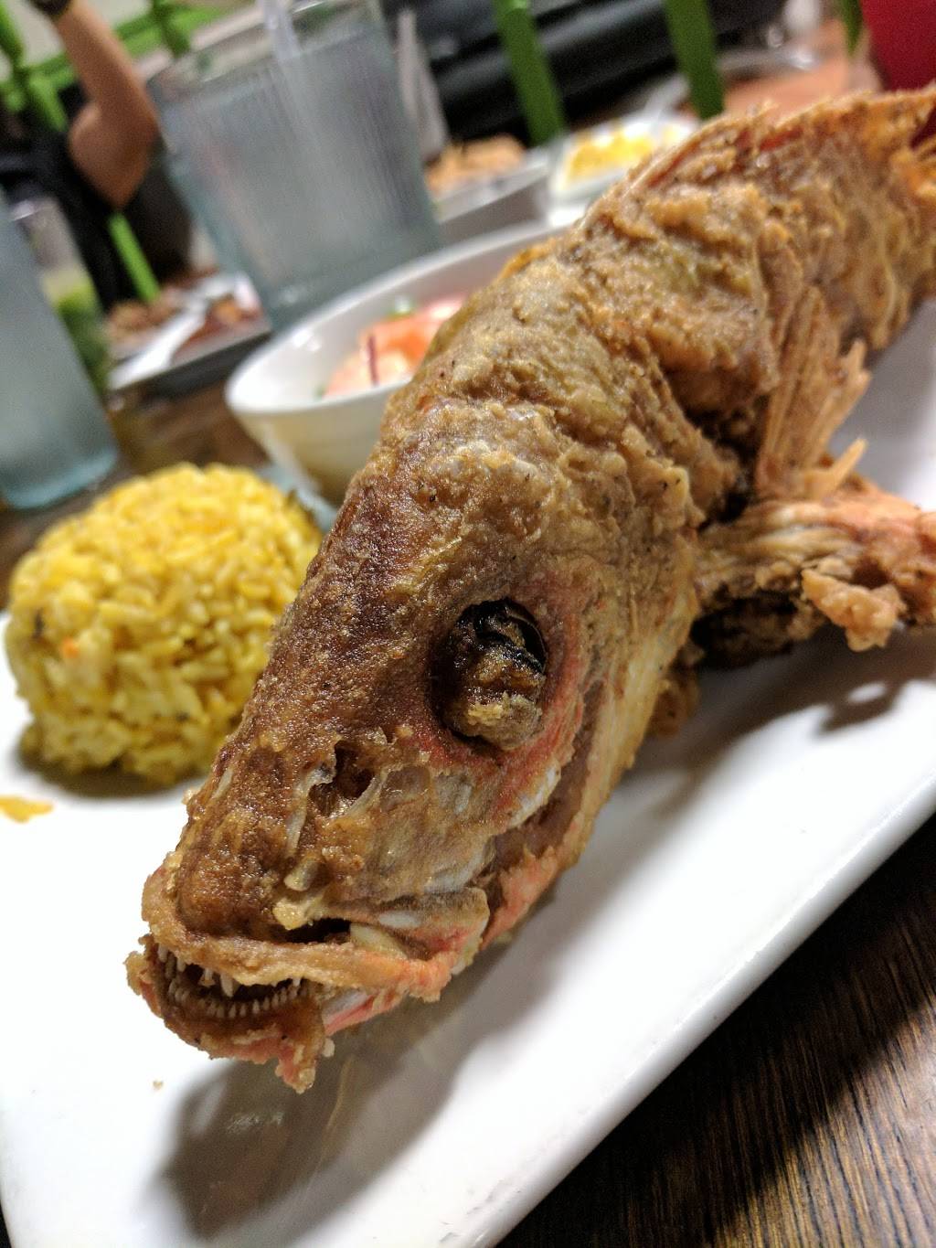 Mojitos Caribbean Cuisine Bar And Grill | restaurant | 8206 Philips Hwy #39, Jacksonville, FL 32256, USA | 9045133756 OR +1 904-513-3756