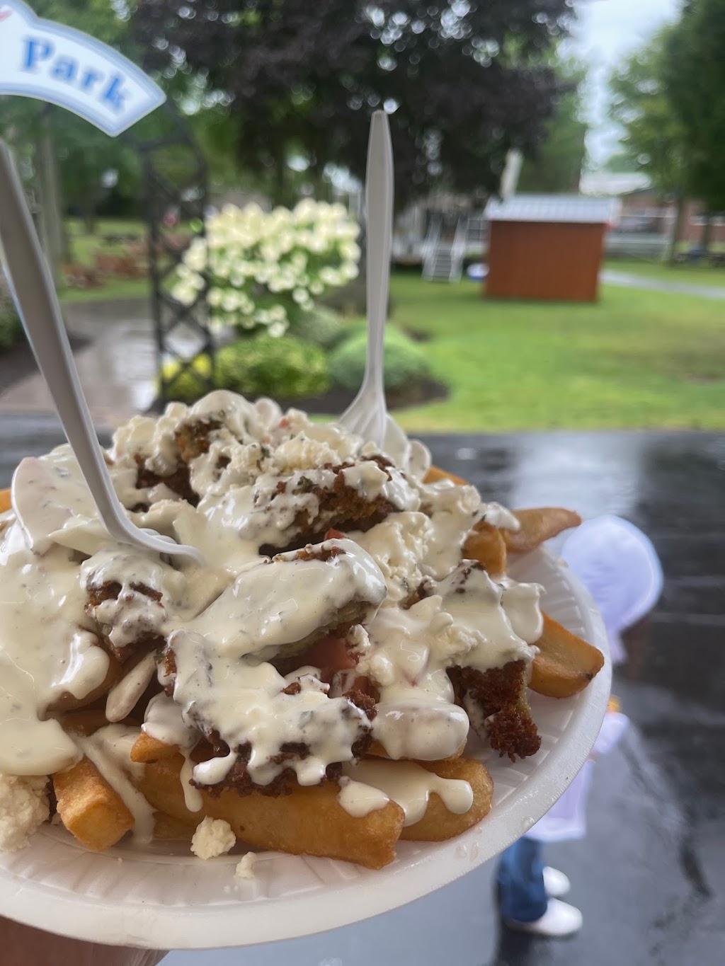 Venus Greek & Mediterranean (Cloud Kitchen) | restaurant | 1516 Military Rd, Buffalo, NY 14217, USA | 7168642223 OR +1 716-864-2223