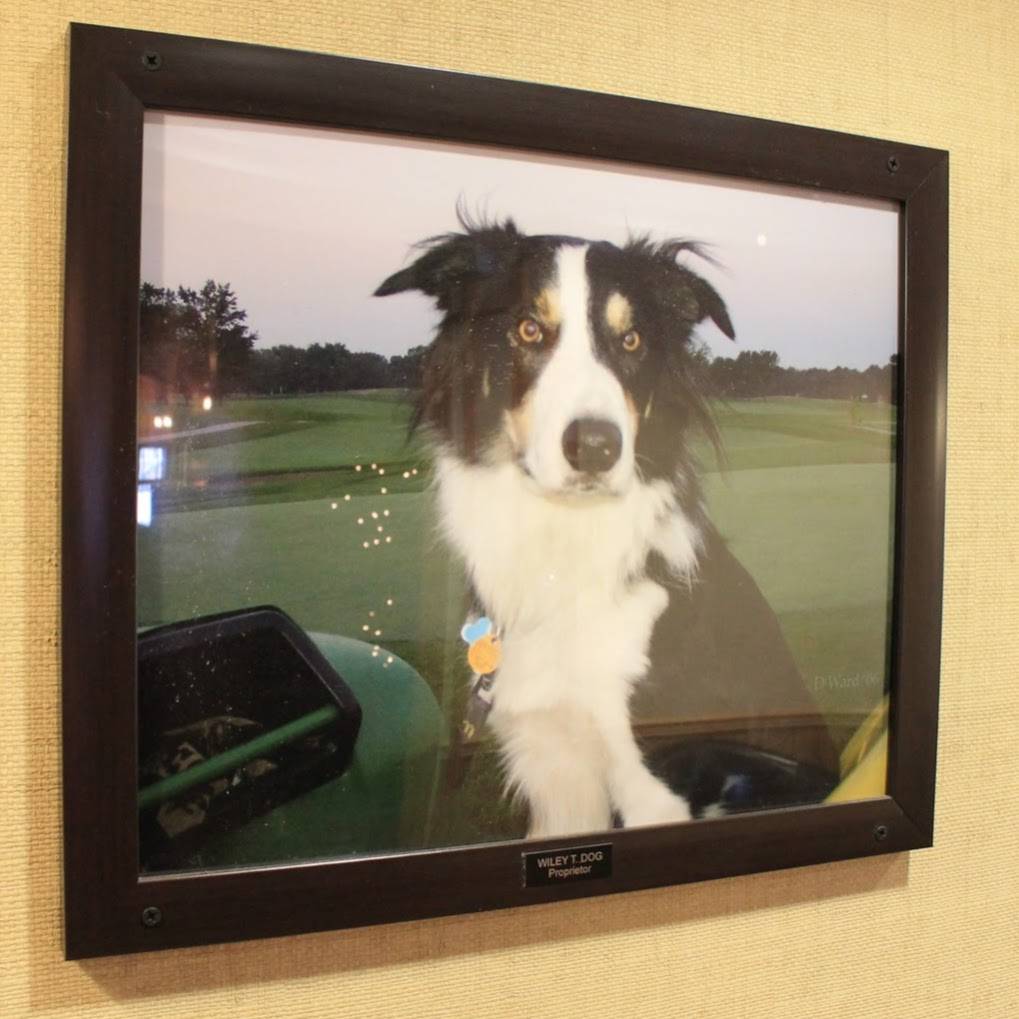 Wileys Grill | restaurant | 800 Kedzie Ave, Flossmoor, IL 60422, USA | 7089578774 OR +1 708-957-8774