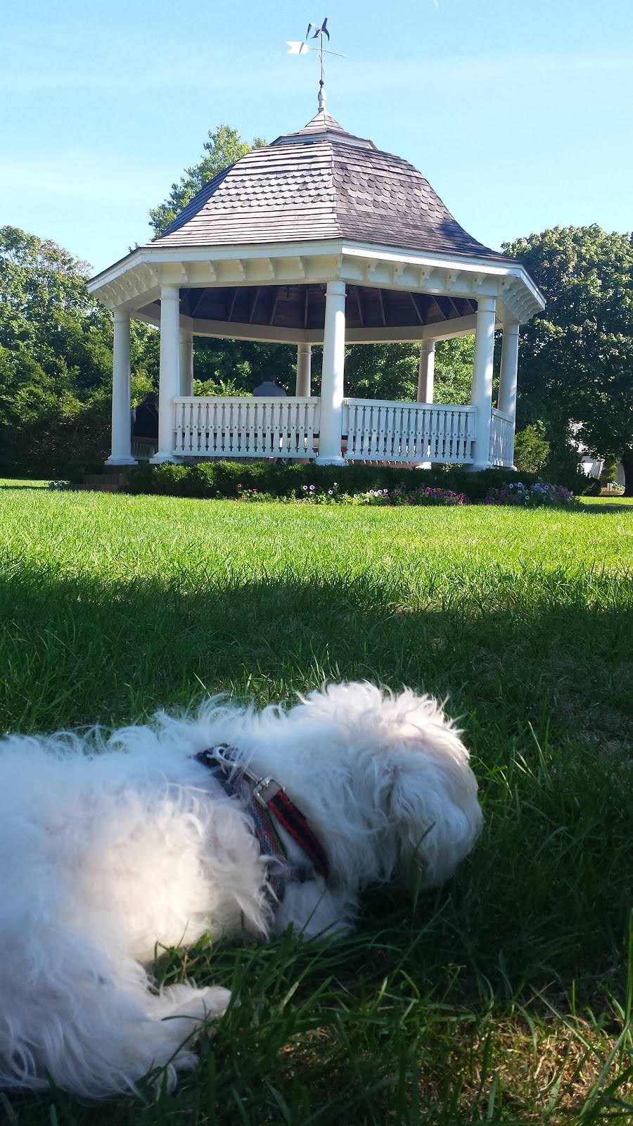 Post Stop Cafe | cafe | 144 Main St Westhampton, Westhampton Beach, NY 11978, USA | 6312889777 OR +1 631-288-9777