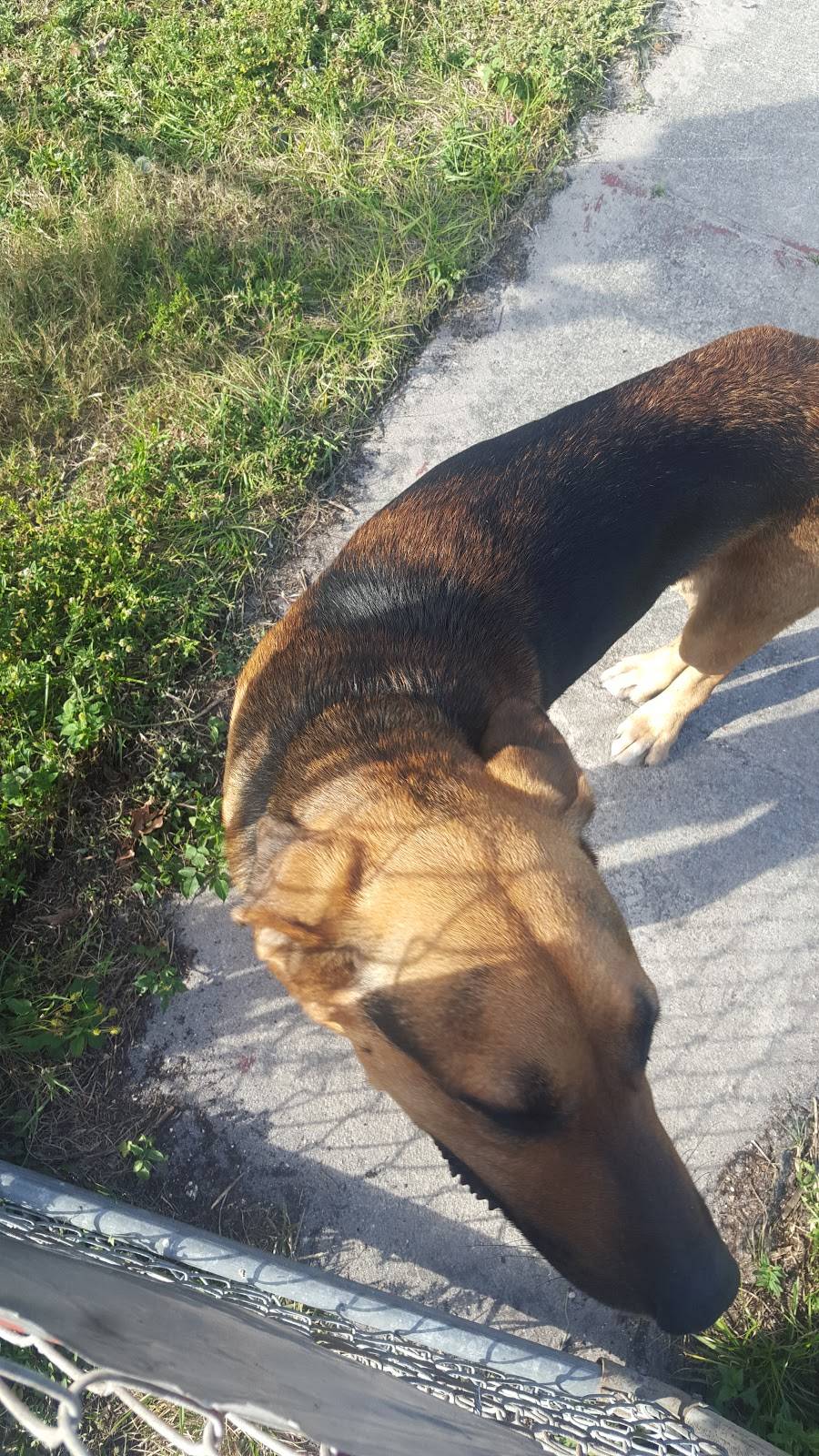 Conch Heaven | restaurant | 11275 NW 27th Ave, Miami, FL 33167, USA | 7863603892 OR +1 786-360-3892