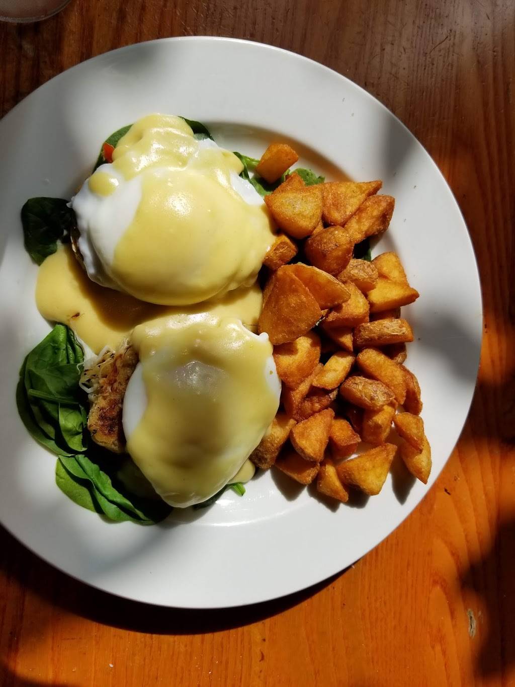 Hole In One Breakfast & Lunch | bakery | 98 MA-6A, Orleans, MA 02653, USA | 5082553740 OR +1 508-255-3740