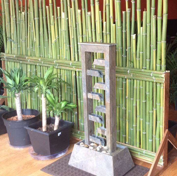 Chon Thai Restaurant | restaurant | 219 Trade St, Greer, SC 29651, USA | 8646557779 OR +1 864-655-7779