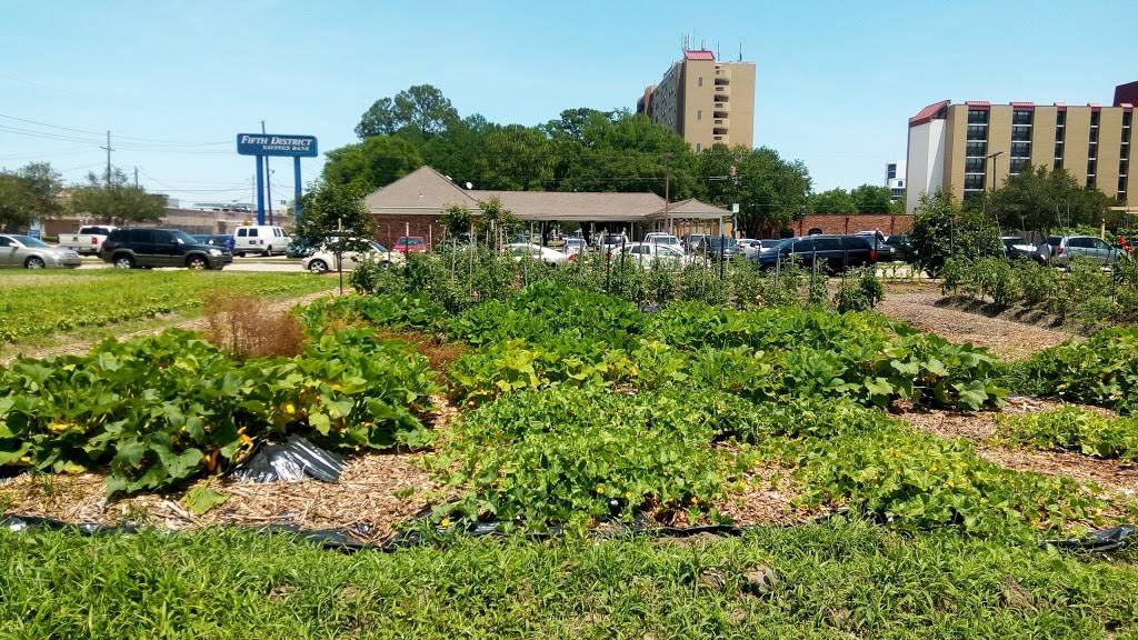 Cafe Hope | restaurant | 1 Timberlane Dr, Gretna, LA 70056, USA | 5043092065 OR +1 504-309-2065