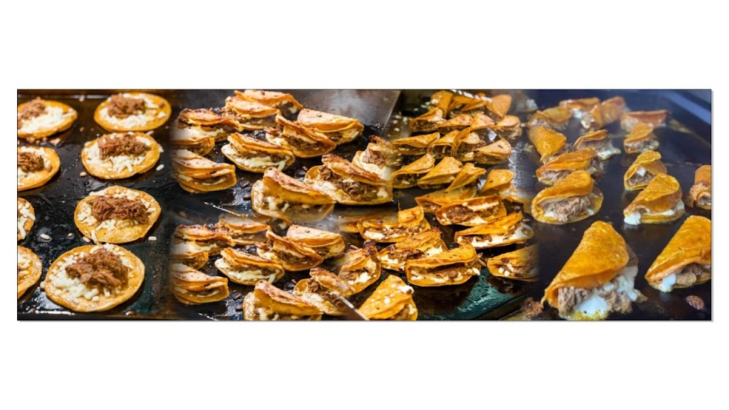 Los Originales Takos De Birria Pepe | restaurant | 1326 State Hwy 495, Alamo, TX 78516, USA | 9562239343 OR +1 956-223-9343