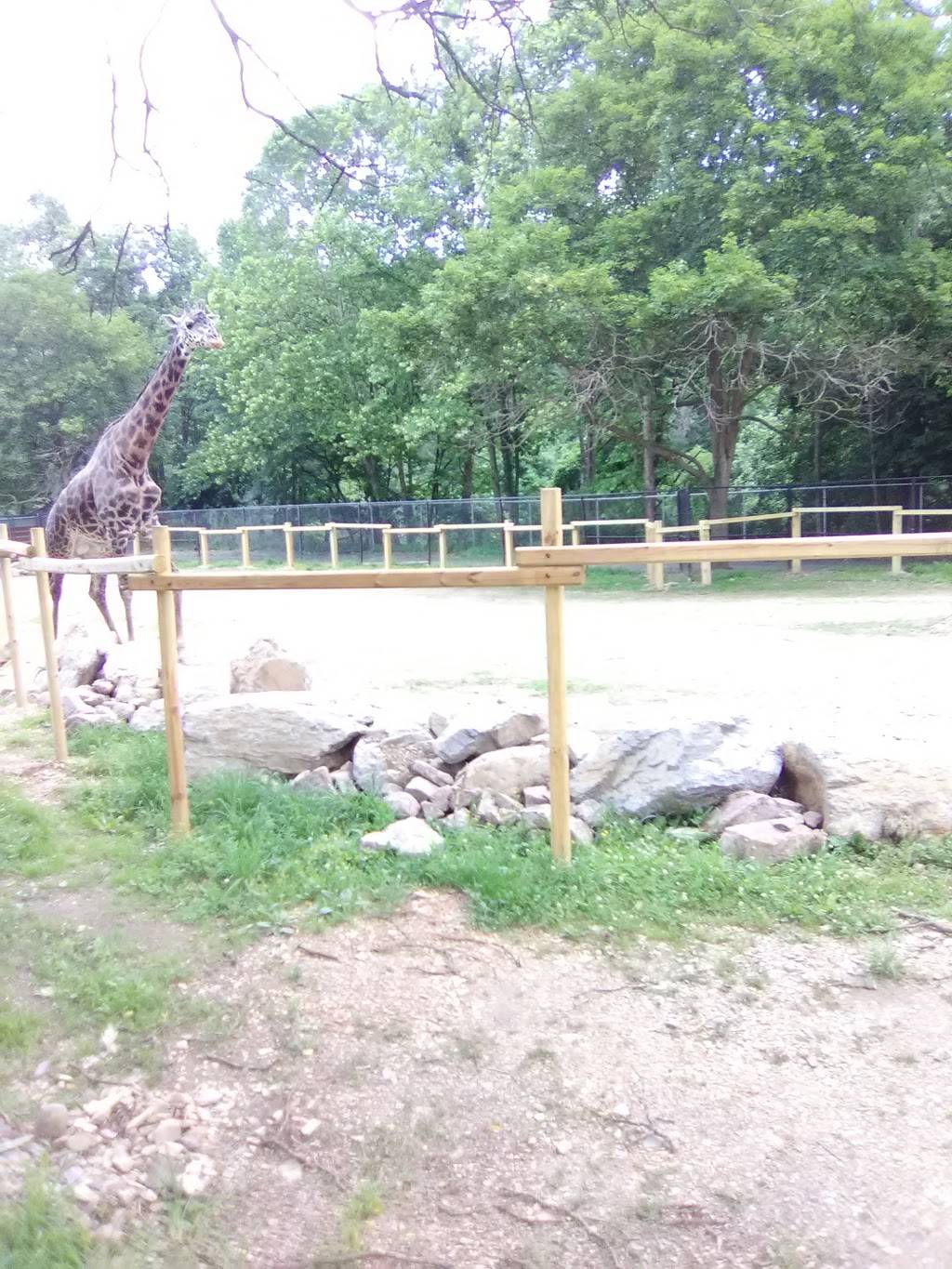 Culinary Experts | restaurant | 1825 W Chew St, Allentown, PA 18104, USA | 6108200800 OR +1 610-820-0800