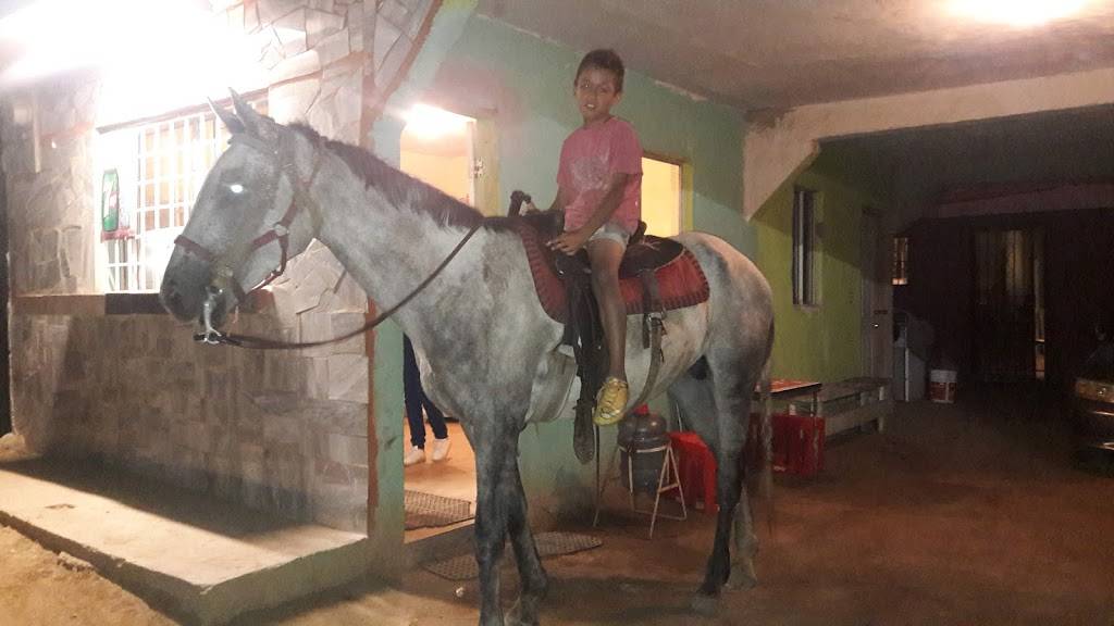 Restaurante Espiga De Oro | restaurant | Popular 1989, 22810 Ensenada, B.C., Mexico | 016462049518 OR +52 646 204 9518