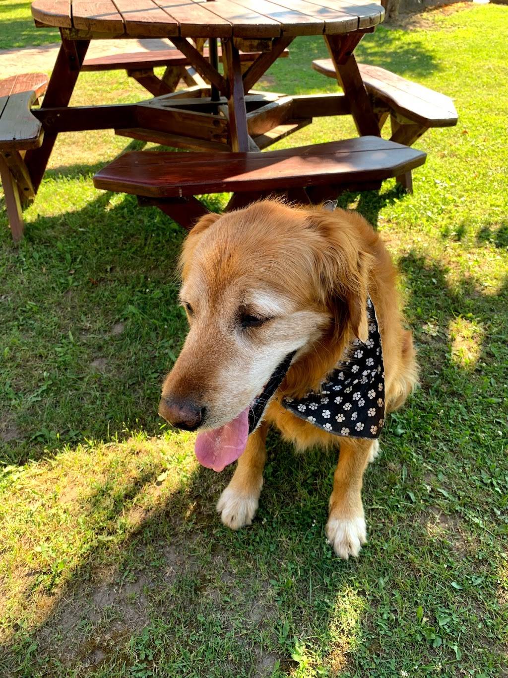 Pizza Czar | restaurant | 7898 Co Rd A, Baileys Harbor, WI 54202, USA | 9208392048 OR +1 920-839-2048