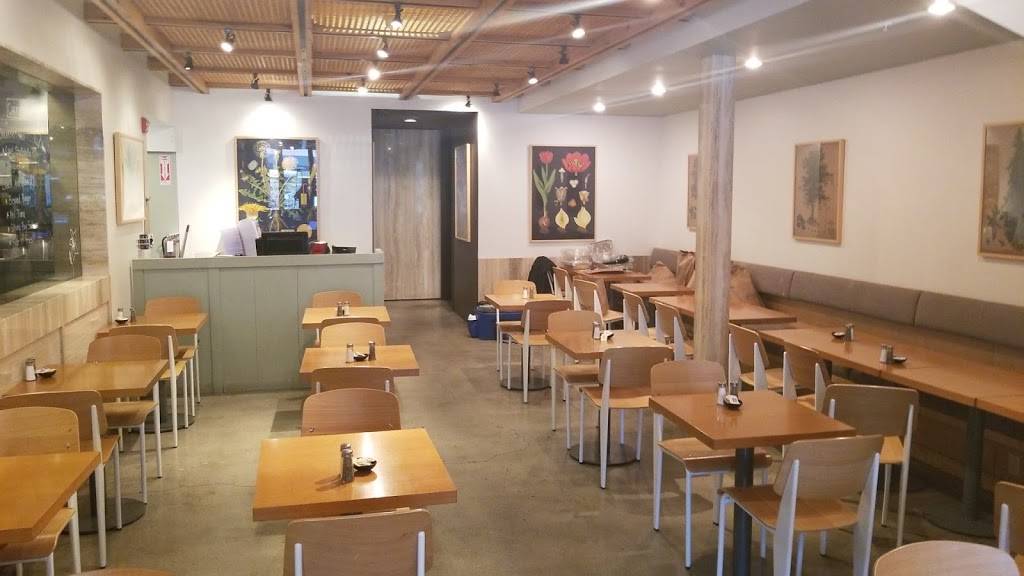 Coral Tree Cafe | cafe | 225 S Beverly Dr, Beverly Hills, CA 90212, USA | 3105538733 OR +1 310-553-8733