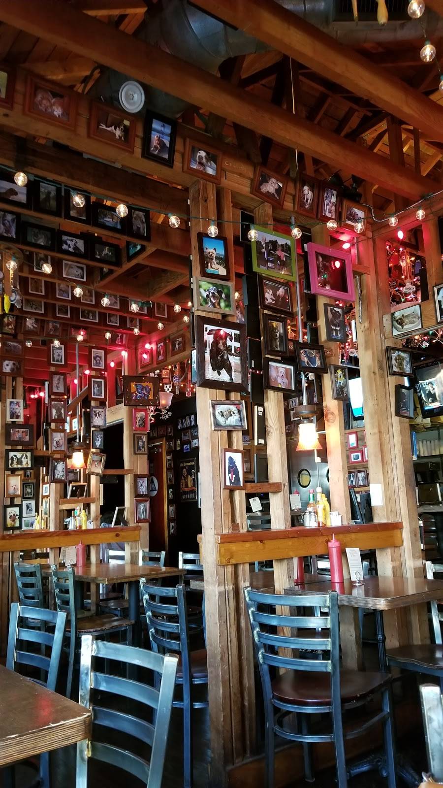 Blue Dog Beer Tavern | restaurant | 4524 Saugus Ave, Sherman Oaks, CA 91403, USA | 8189902583 OR +1 818-990-2583