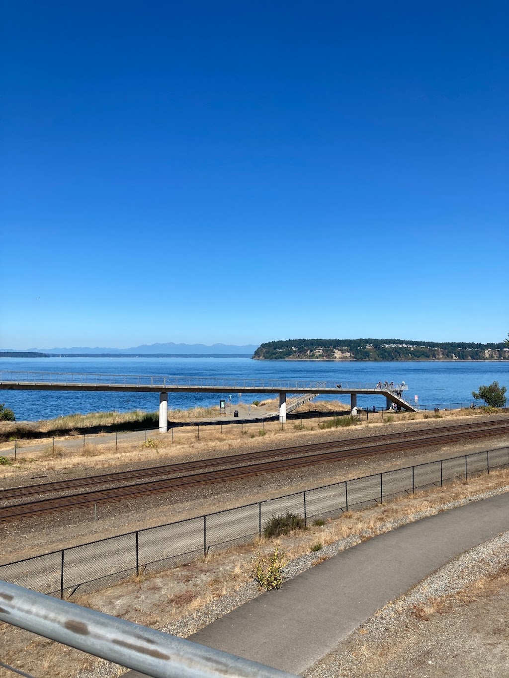 Chambers Bay Golf Course | restaurant | 6320 Grandview Dr W, University Place, WA 98467, USA | 2534604653 OR +1 253-460-4653