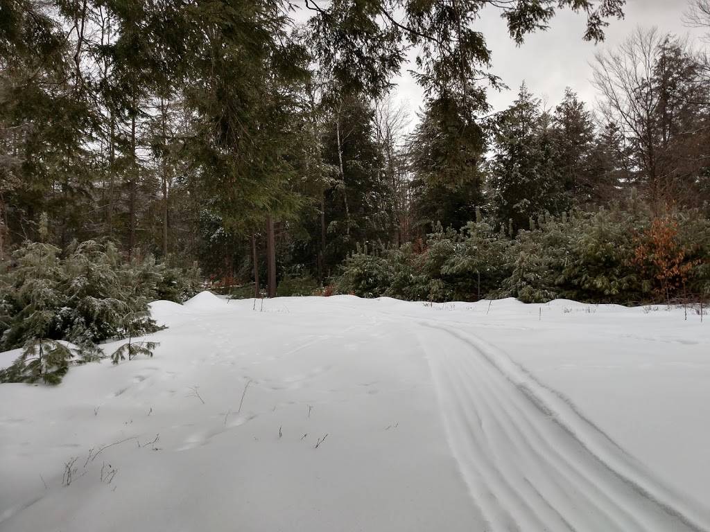 The Full Course at Brookhaven Golf Course | restaurant | 333 Alpine Meadows Rd, Porter Corners, NY 12859, USA | 5188932809 OR +1 518-893-2809