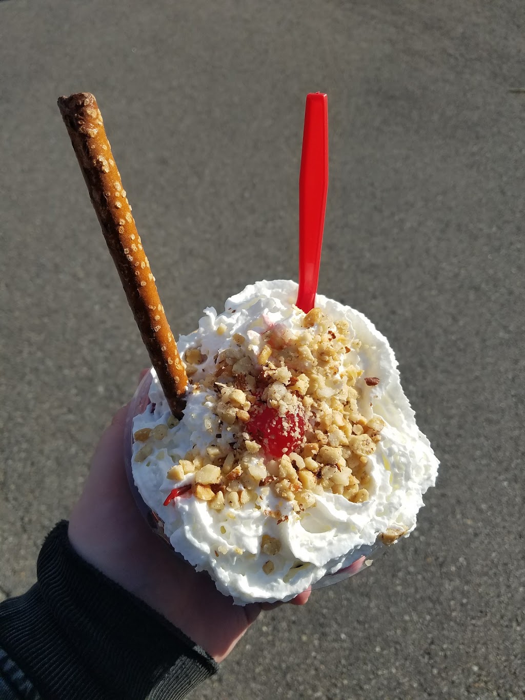 Brusters Real Ice Cream | bakery | 9600 Perry Hwy, Pittsburgh, PA 15237, USA | 4123669899 OR +1 412-366-9899