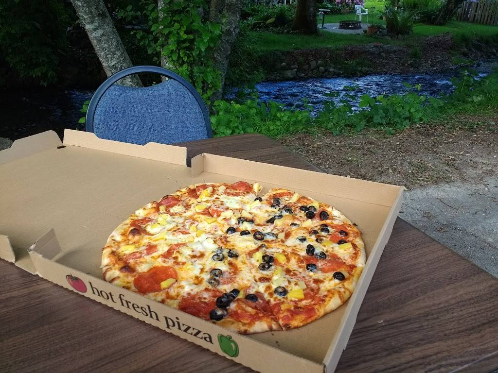 Hoodsport Pizzeria | restaurant | 150 N Lake Cushman Rd, Hoodsport, WA 98548, USA | 3608772229 OR +1 360-877-2229
