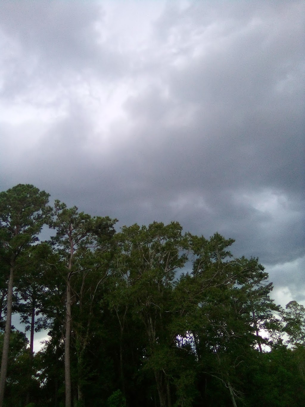 Coney Island Southside | restaurant | 1414 S 2nd St, Monroe, LA 71202, USA | 3183222517 OR +1 318-322-2517