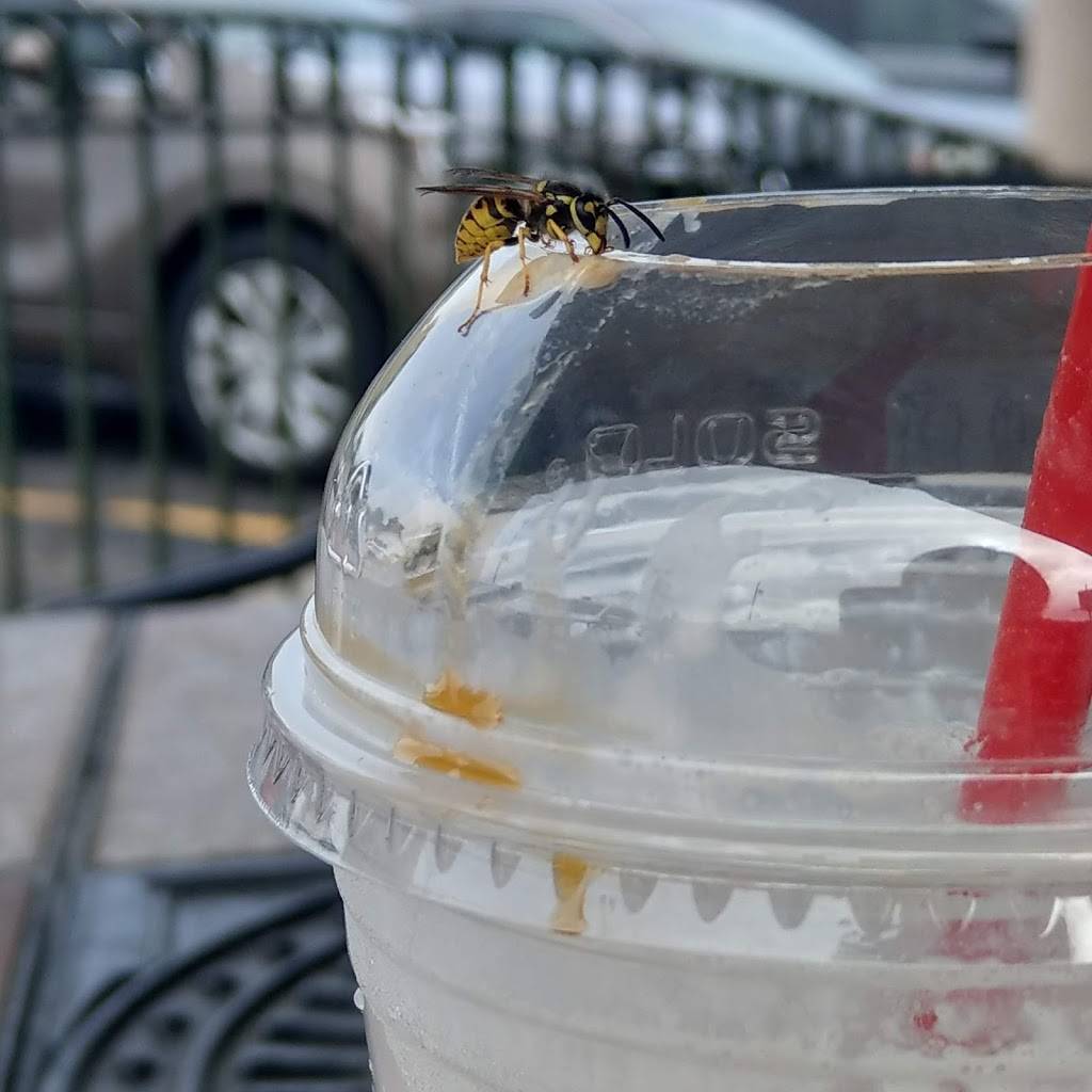 Peaberrys Cafe & Bakery | cafe | 4350 Boardman-Canfield Rd, Canfield, OH 44406, USA | 3307029230 OR +1 330-702-9230