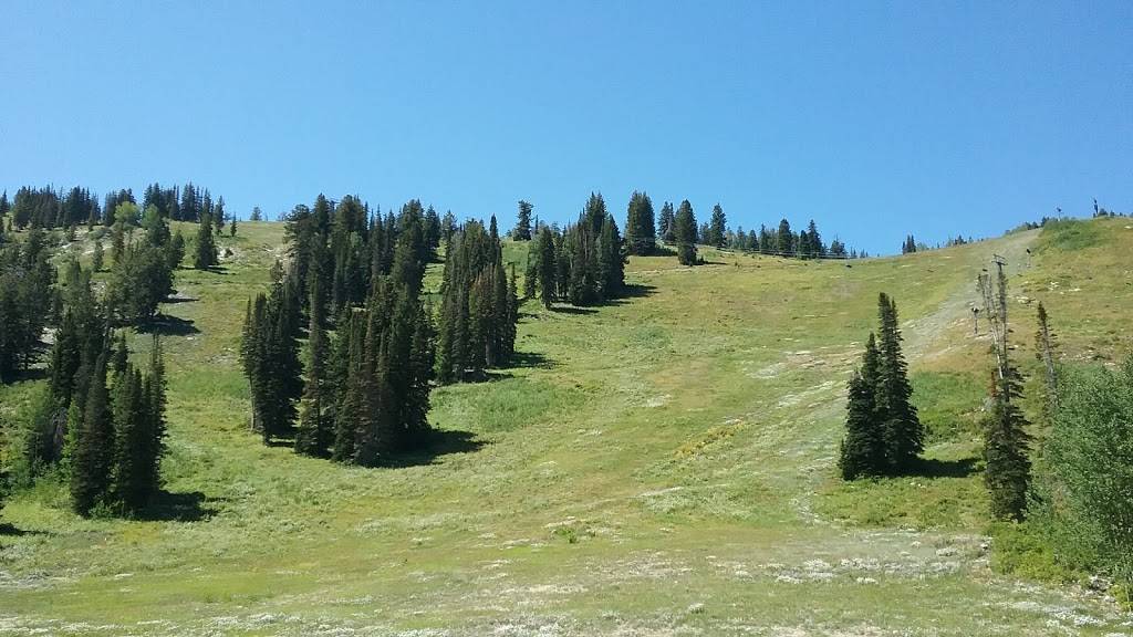 Last Chance Southwest Grill | restaurant | 12000 Big Cottonwood Canyon Rd building 10, Solitude, UT 84121, USA | 8015341400 OR +1 801-534-1400