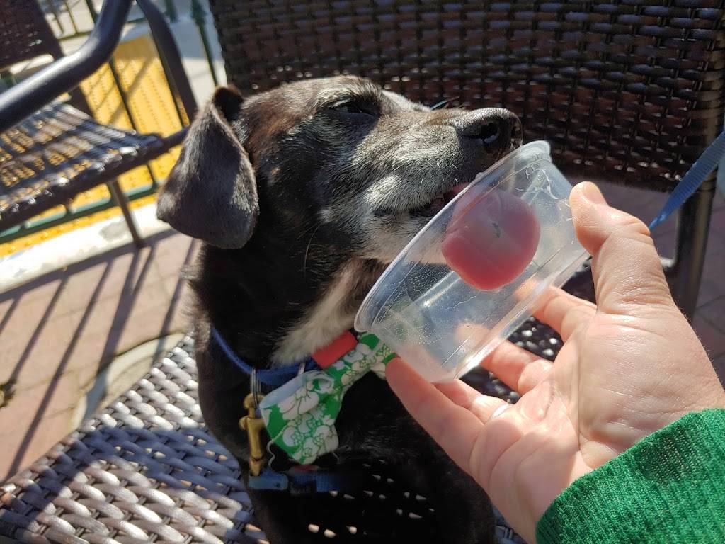 Domenicos Delicatessen | meal takeaway | 682 Hartz Ave, Danville, CA 94526, USA | 9258378301 OR +1 925-837-8301