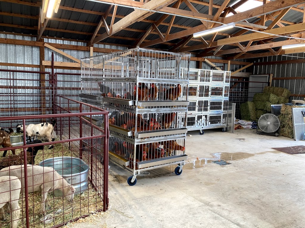 Alamo Farms | restaurant | 200 Chihuahua St, San Antonio, TX 78207, USA | 2109982800 OR +1 210-998-2800