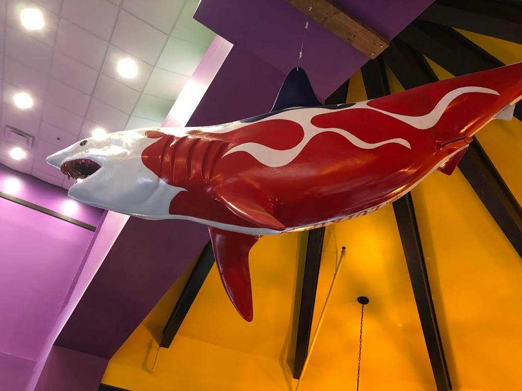 Fuzzys Taco Shop | restaurant | 4003 S Medford Dr #500, Lufkin, TX 75901, USA | 9368997337 OR +1 936-899-7337