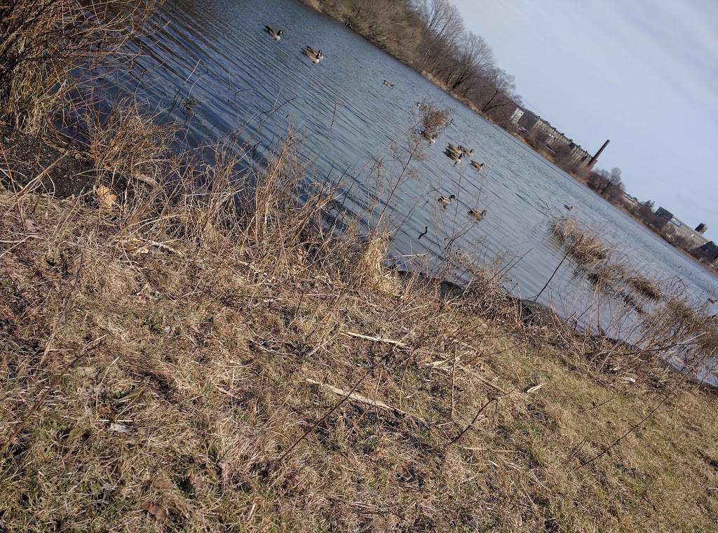 Subway | restaurant | 122 Plymouth Ave, Fall River, MA 02721, USA | 5086736611 OR +1 508-673-6611