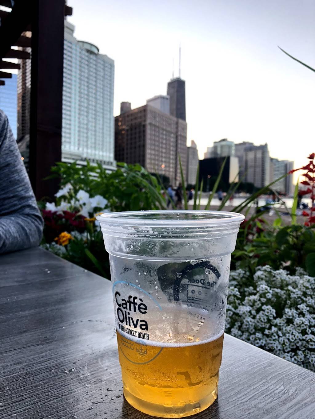 Caffe Oliva | restaurant | 550 E Grand Ave, Chicago, IL 60611, USA | 3126120734 OR +1 312-612-0734