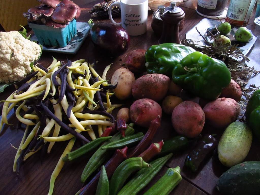 Wholesome Harvest Coop (food store) | restaurant | 30 W Main St, Frostburg, MD 21532, USA | 3016893120 OR +1 301-689-3120