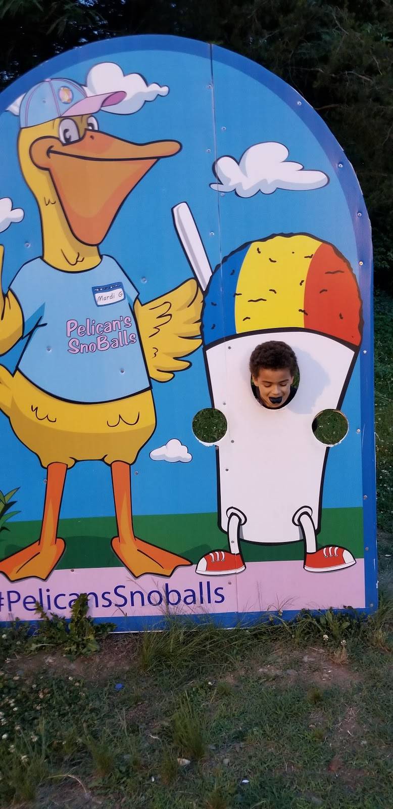 Pelicans Snoballs: Statesville Rd. | restaurant | 5639 Statesville Rd, Charlotte, NC 28269, USA | 7046154803 OR +1 704-615-4803