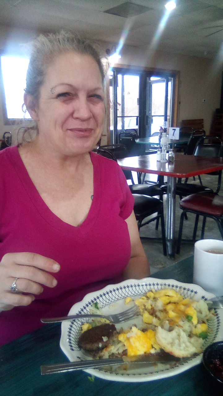 Fresh Cut Diner | restaurant | 100 AR-27, Marshall, AR 72650, USA | 8704482029 OR +1 870-448-2029