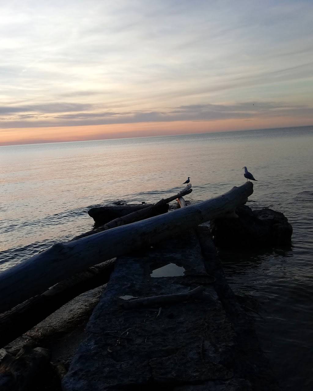 Angolas Taste of The Midway | restaurant | 97 N Main St, Angola, NY 14006, USA | 7167127244 OR +1 716-712-7244