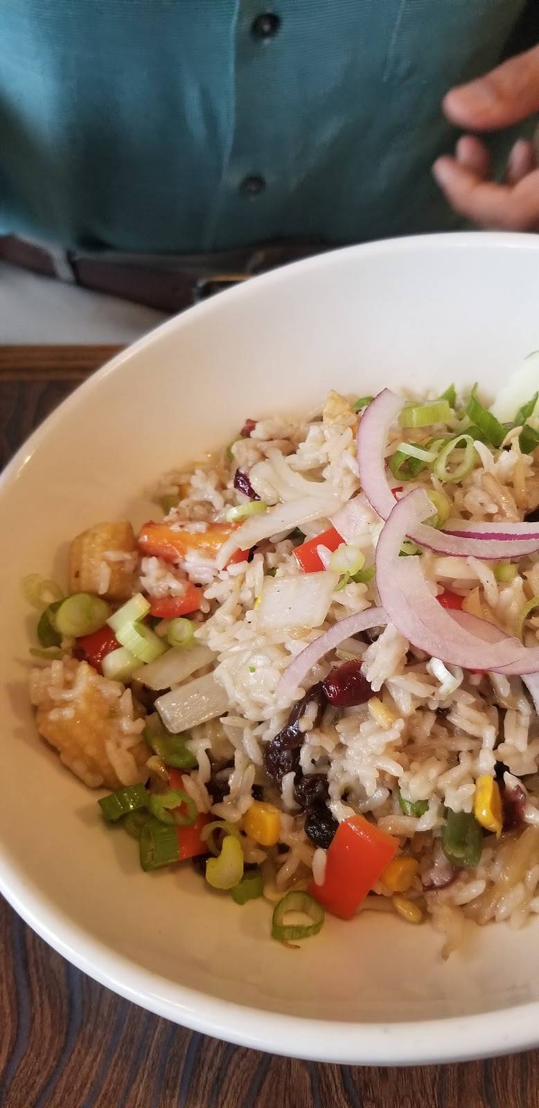 Water Lily Cafe | restaurant | 3800 Union Rd, Cheektowaga, NY 14225, USA | 7162889940 OR +1 716-288-9940