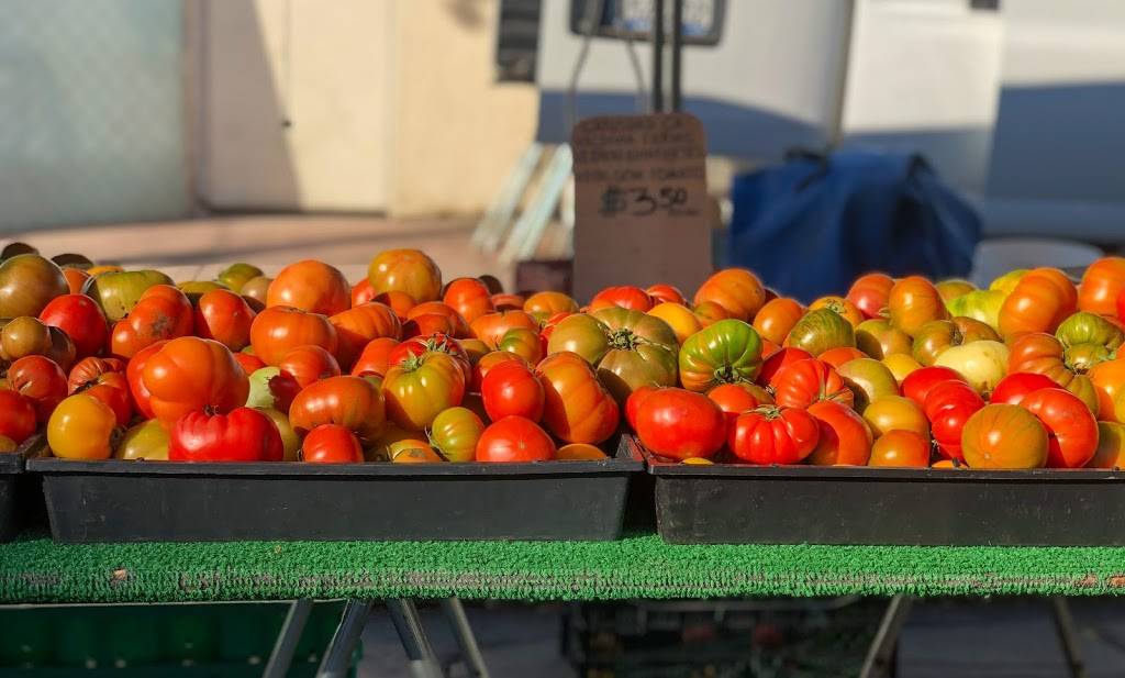 Lucky You Pizza | meal delivery | 1842 W Washington Blvd, Los Angeles, CA 90007, USA | 3472661889 OR +1 347-266-1889