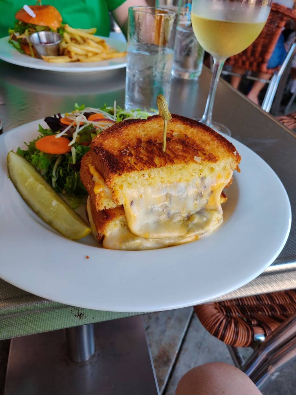 Muse at The Ringling | restaurant | 5401 Bay Shore Rd, Sarasota, FL 34243, USA | 9413607390 OR +1 941-360-7390