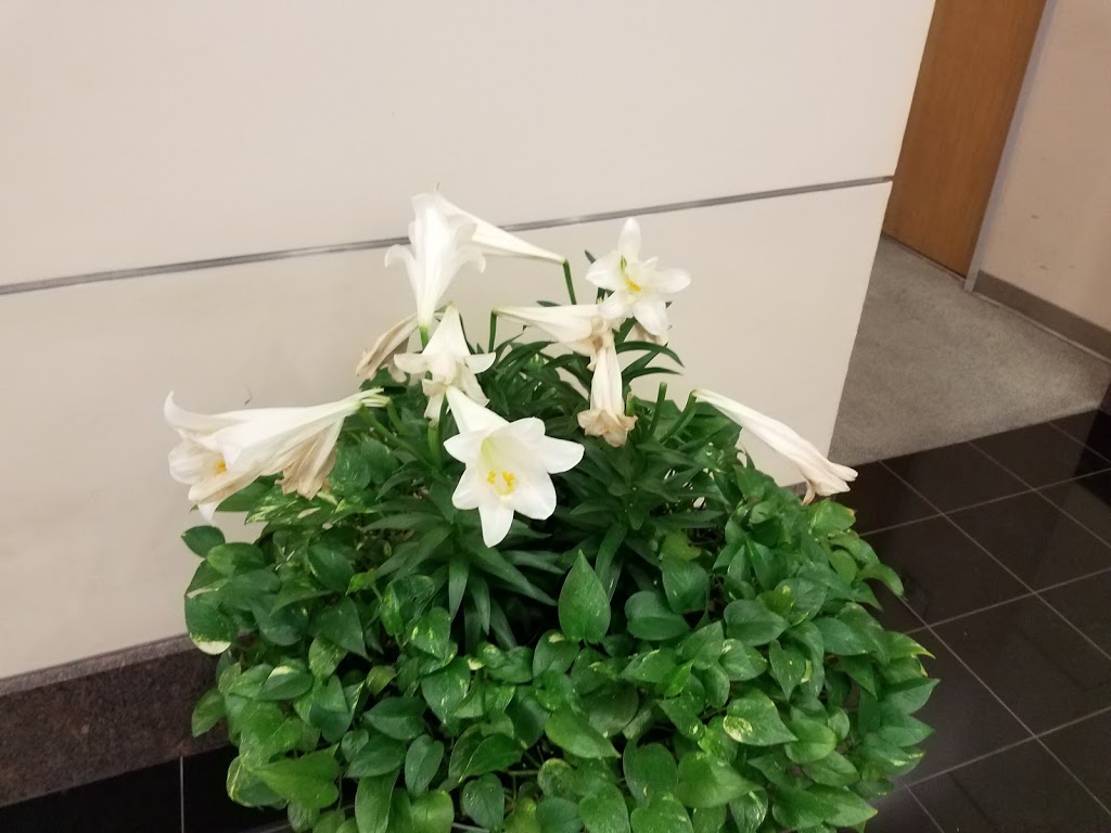 Burger King | restaurant | 4212 Richmond Ave, Houston, TX 77027, USA | 7136215283 OR +1 713-621-5283