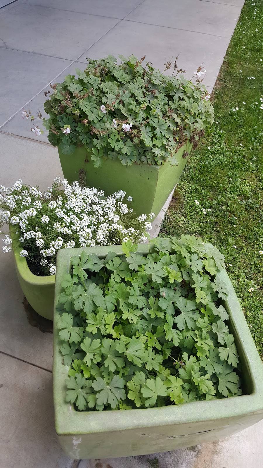 VTC Enterprises | restaurant | 2445 A St, Santa Maria, CA 93455, USA | 8059285000 OR +1 805-928-5000