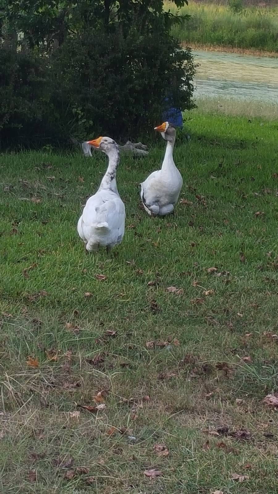 Harmons Restaurant | restaurant | 773 Highway 9 W, Banner, MS 38913, USA | 6624734083 OR +1 662-473-4083