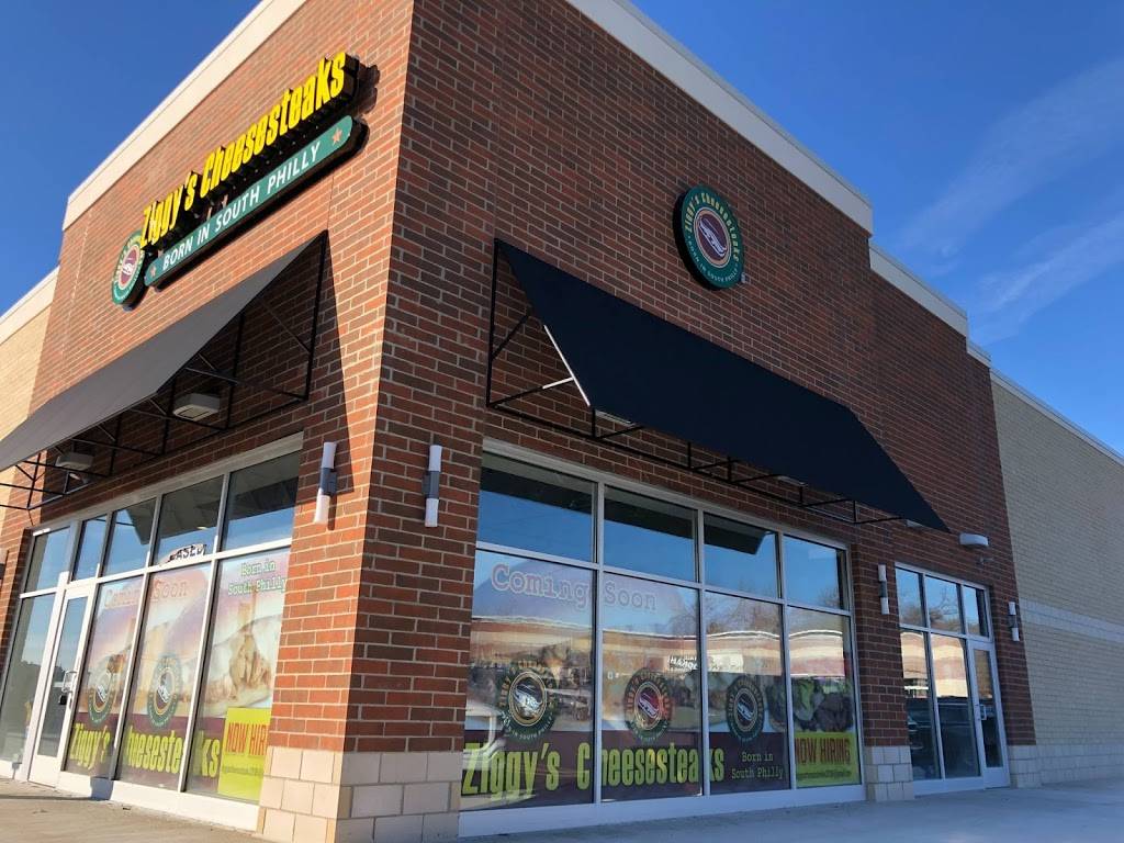 Ziggys Cheesesteaks | restaurant | 2713 University Dr, Auburn Hills, MI 48326, USA | 2484819101 OR +1 248-481-9101