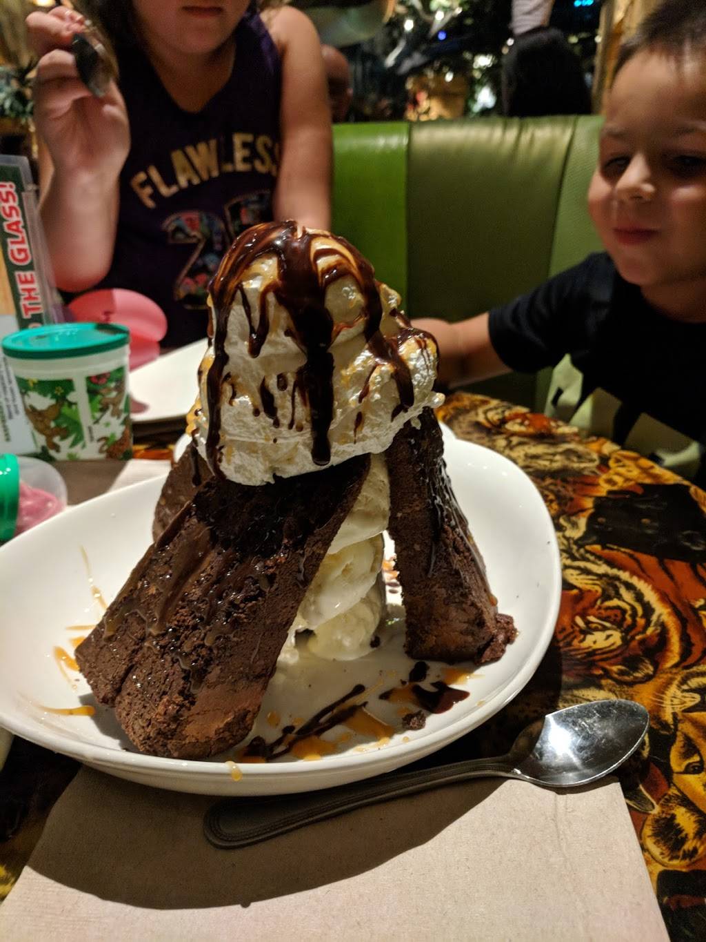 Rainforest Cafe Niagara Falls USA | restaurant | 300 3rd St, Niagara Falls, NY 14303, USA | 7162782626 OR +1 716-278-2626