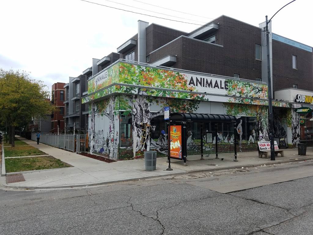 Langhe Market | restaurant | 1904 N Western Ave, Chicago, IL 60647, USA | 8723153912 OR +1 872-315-3912