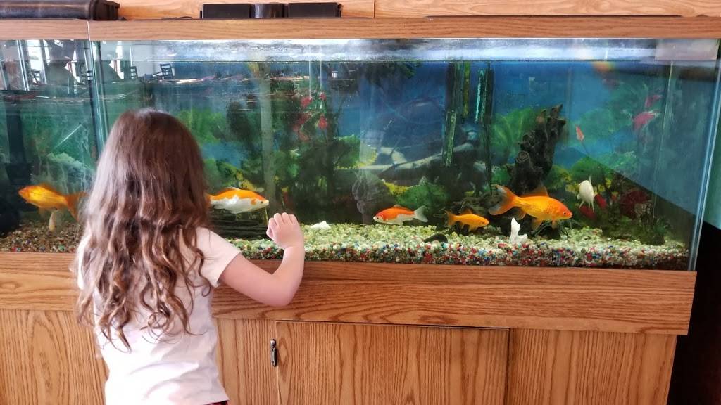 Happy Garden Chinese Restaurant | restaurant | 10557 Harrison Ave A, Harrison, OH 45030, USA | 5133679959 OR +1 513-367-9959