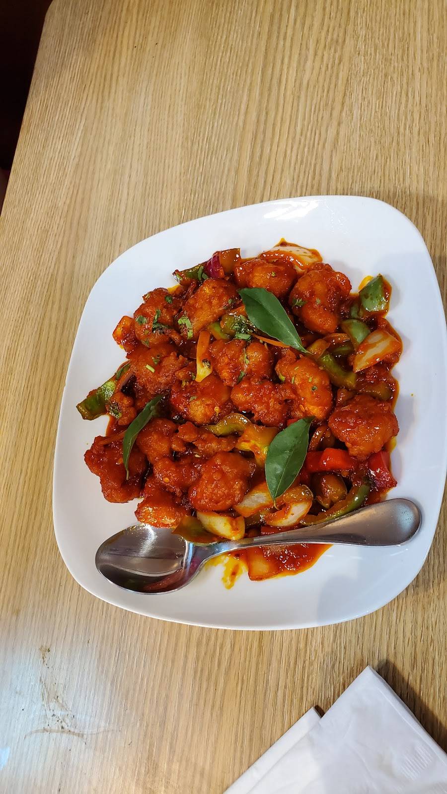 Indian Fusion Indian Restaurant (Halal) | restaurant | 5755 Evers Rd, San Antonio, TX 78238, USA | 2104557075 OR +1 210-455-7075